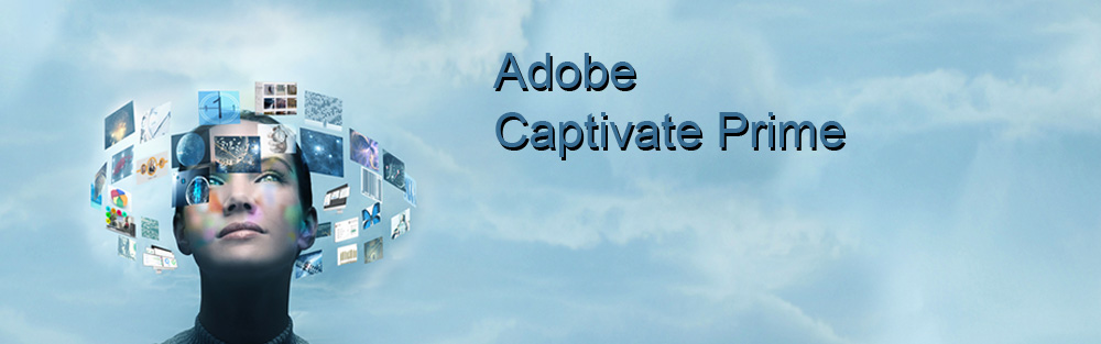 captivate
